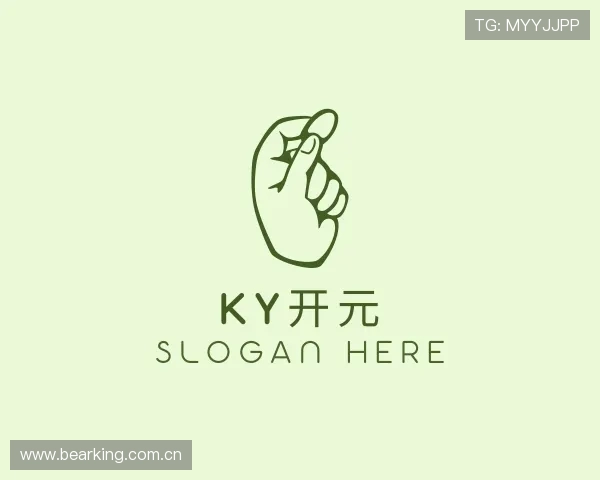关于KY开元
